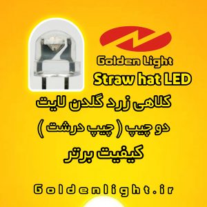 LED ال ای دی کلاهی دو چیپ زرد انبه ای گلدن لایت